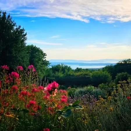 Apartment Malt Barci