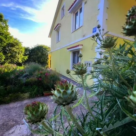 Apartment Malt Barci