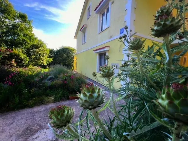 Apartment Malt Barci